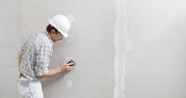 Best Commercial Painting  in Destrehan, LA